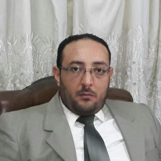 وائل جنيدى