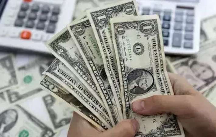 سعر الدولار في البنوك المصرية 